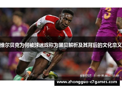 维尔贝克为何被球迷戏称为黑贝解析及其背后的文化意义