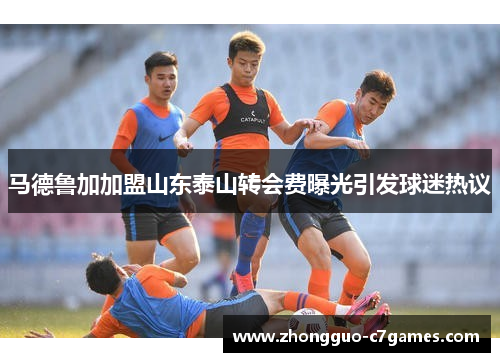 马德鲁加加盟山东泰山转会费曝光引发球迷热议