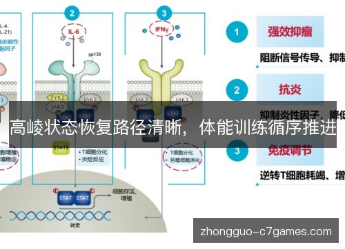 高崚状态恢复路径清晰,体能训练循序推进 高崚状态恢复路径清晰,体能训练循序推进